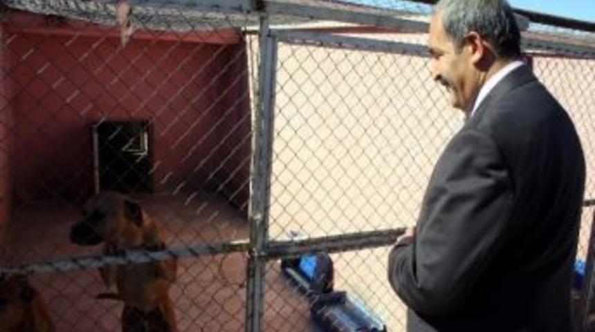 &Uuml;rg&uuml;p&rsquo;ten, 4 Ekim D&uuml;nya Hayvan Hakları G&uuml;n&uuml; Mesajı