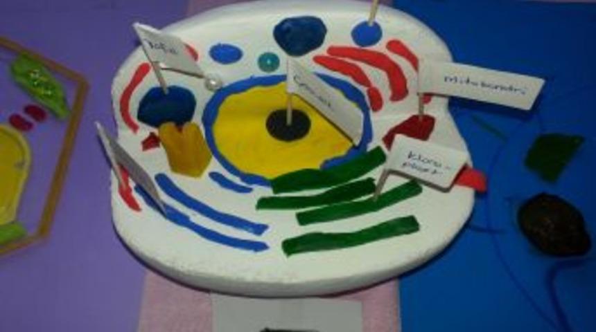 Yıldırımhan'da 'h&uuml;cre Modeli Tasarım' Yarışması D&uuml;zenlendi