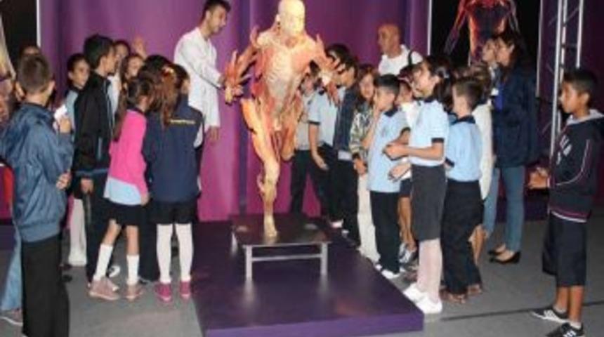 900 Bin Kişinin Gezdiği Ceset Sergisi Rekora Koşuyor