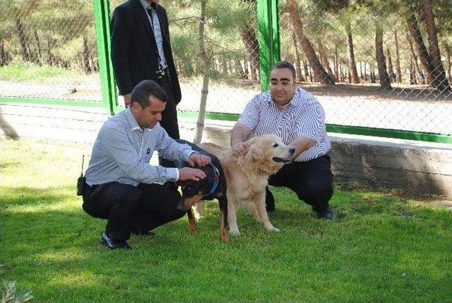 Doğanın Dengesi Hayvanlarla Korunur 1