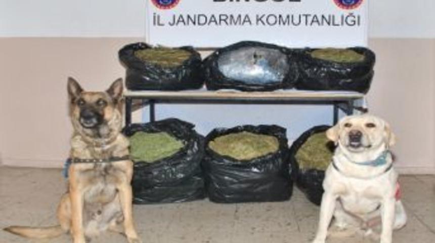 Bing&ouml;l&rsquo;de 42 Kilo Esrar Ele Ge&ccedil;irildi