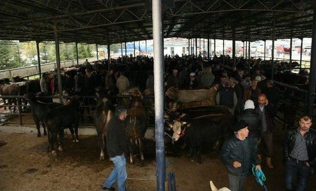 Polisten Hayvan Pazarında Sahte Para Uyarısı 1