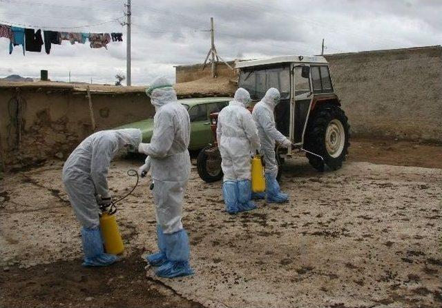 Afyonkarahisar’da ‘gerçek Boyutlu Kuş Gribi Tatbikatı’