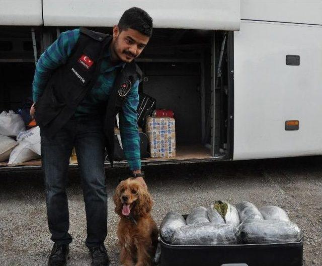 Narkotik Köpeği 'leydi' Yolcu Otobüsünde Esrar Buldu