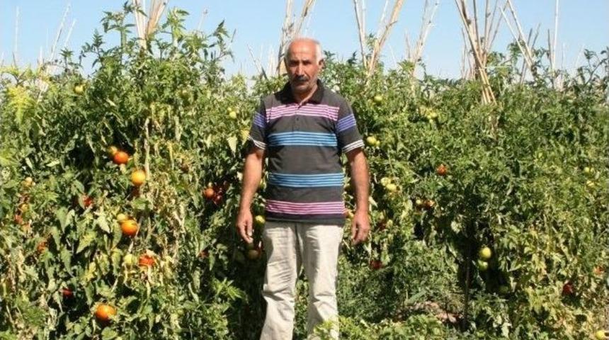 Gevaşlı &Ccedil;ift&ccedil;inin Teşvik Sıkıntısı