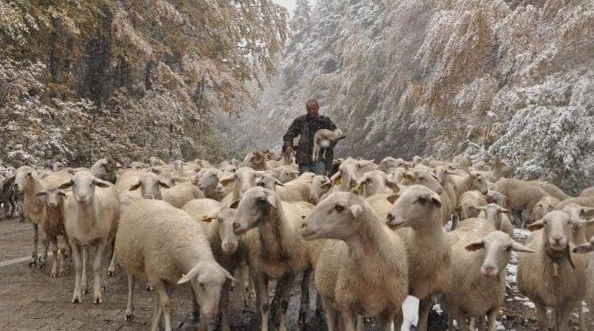 &Ccedil;obana Kar S&uuml;rprizi