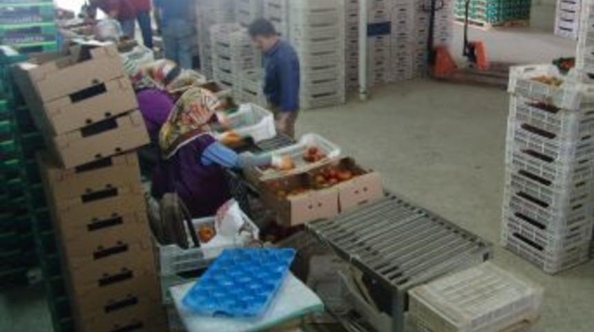 Irak Fethiye'nin Yeni Ihracat Pazarı Oldu