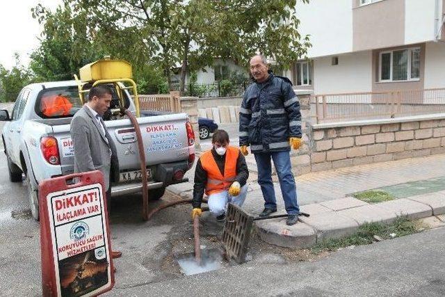 Odunpazarı Belediyesi&rsquo;nin Haşereyle M&uuml;cadele &Ccedil;alışmaları 1