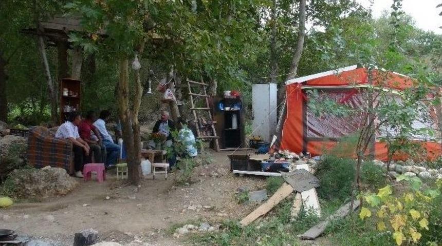 Şifayı Doğada Buldu