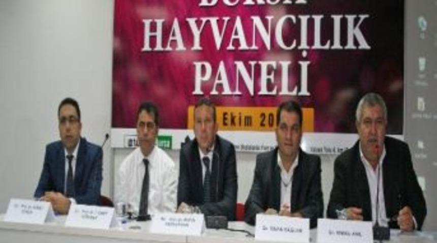 "teşvikler Ger&ccedil;ek &Uuml;reticiye Gitmiyor"