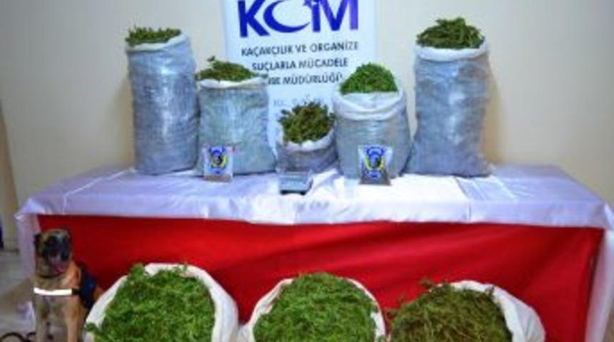 Ordu'da 93 Kilogram Uyuşturucu Ele Ge&ccedil;irildi