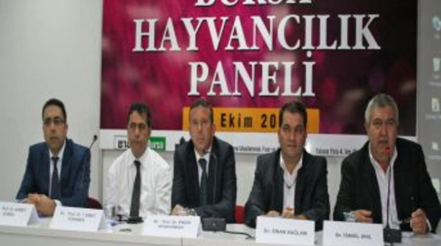 Anıl: T&uuml;rk Hayvancılığını Teşvikler Kurtaramaz