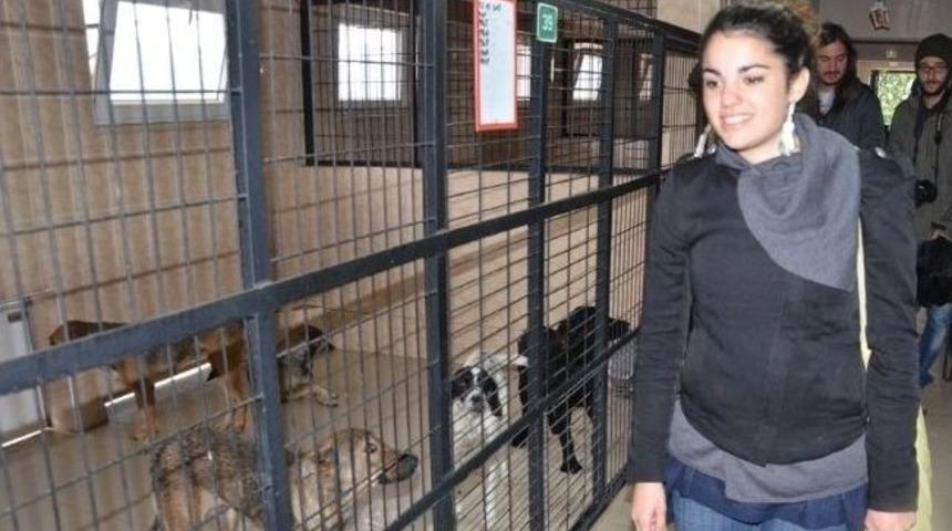 Yunanistanlı Veteriner Adayları Osmangazi Hayvan Barınağı&rsquo;na Hayran Kaldı