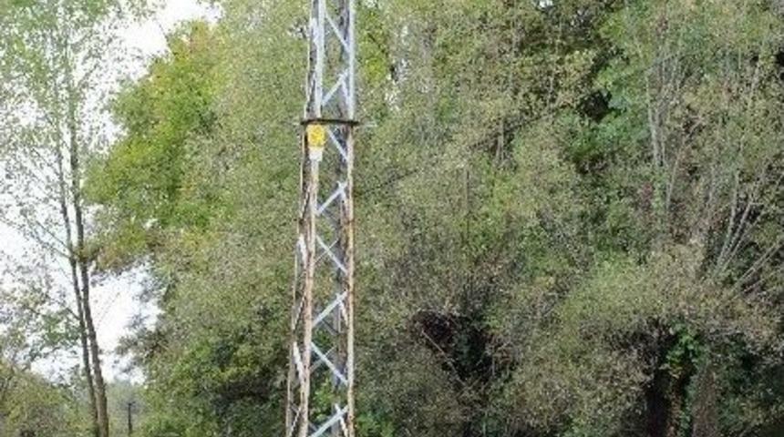 Manda Elektrik Akımına Kapıldı