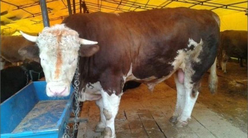 Başkent&rsquo;in En B&uuml;y&uuml;ğ&uuml; &lsquo;paşa&rsquo;