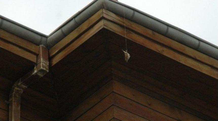 İtfaiye Ekipleri Ser&ccedil;eyi Kurtmak İ&ccedil;in Seferber Oldu