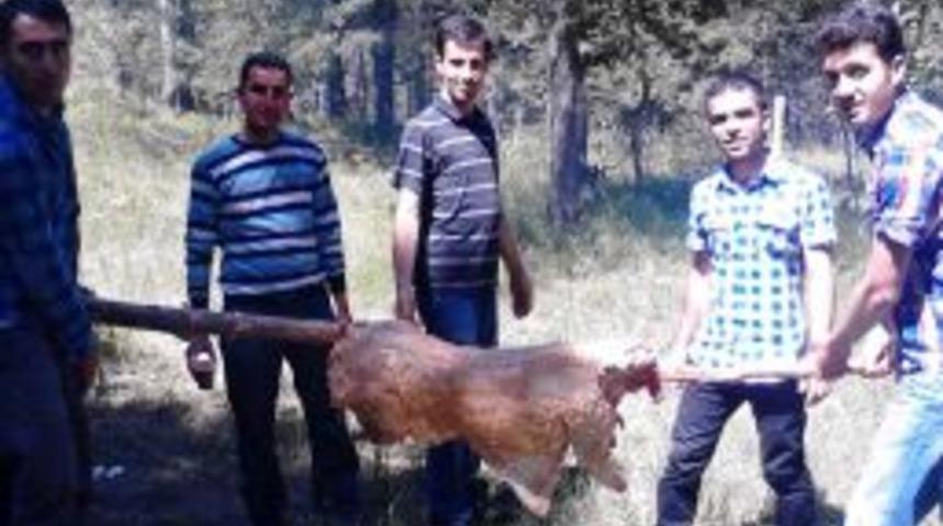 &lsquo;Hayat Memura G&uuml;zel&rsquo; Dediler Piknikte Bir Araya Geldiler