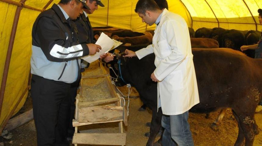 Etimesgut&rsquo;ta Kurban Pazarları Hareketlendi