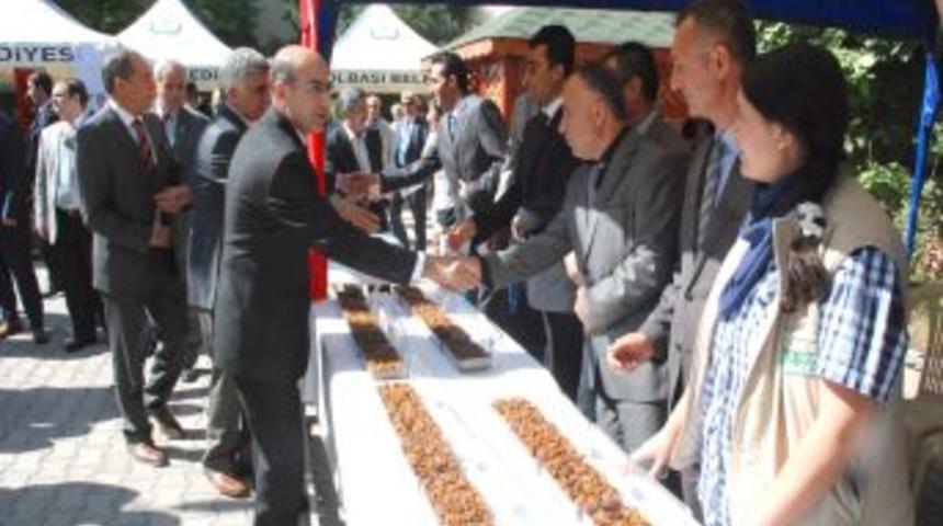 G&ouml;lfest Festivali Başladı