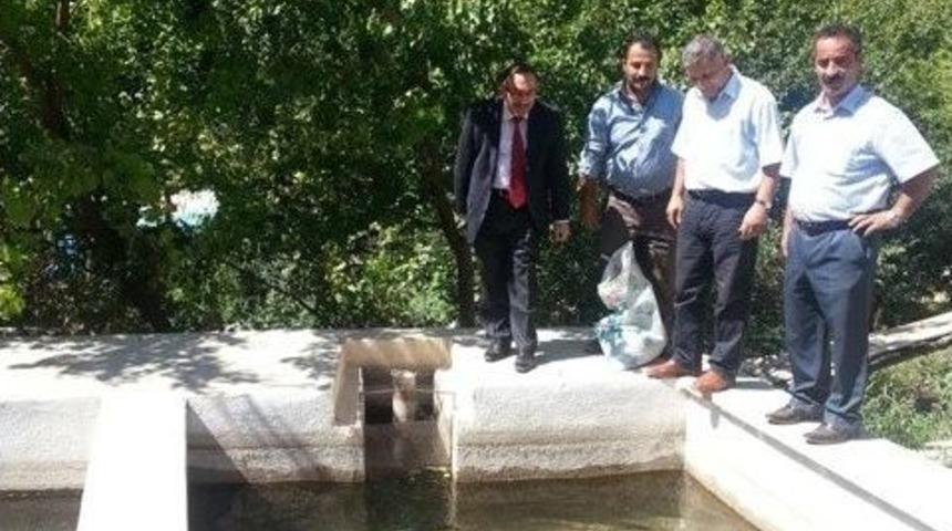 Gıda, Tarım Ve Hayvancılık İl M&uuml;d&uuml;rl&uuml;ğ&uuml; Yetkilileri Alabalık Tesislerinde İnceleme Yaptılar