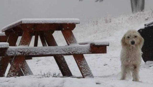 Bursalı Dağcıların Alan Rehberliği Sıkıntısı 2