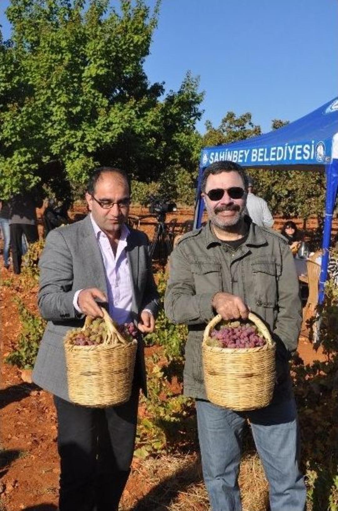 Şire Festivali, Bağ Bozumu İle Başladı