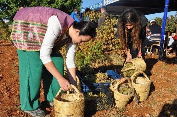 Şire Festivali, Bağ Bozumu İle Başladı G5