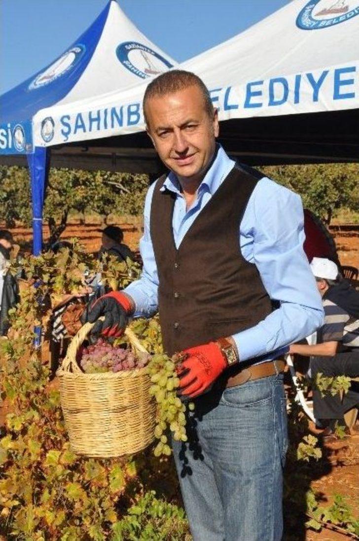 Şire Festivali, Bağ Bozumu İle Başladı G3