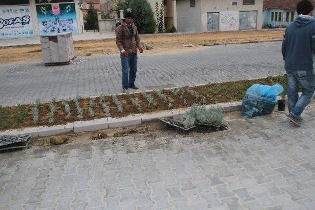 Kula'da Şehitler Caddesi Çiçeklendiriliyor