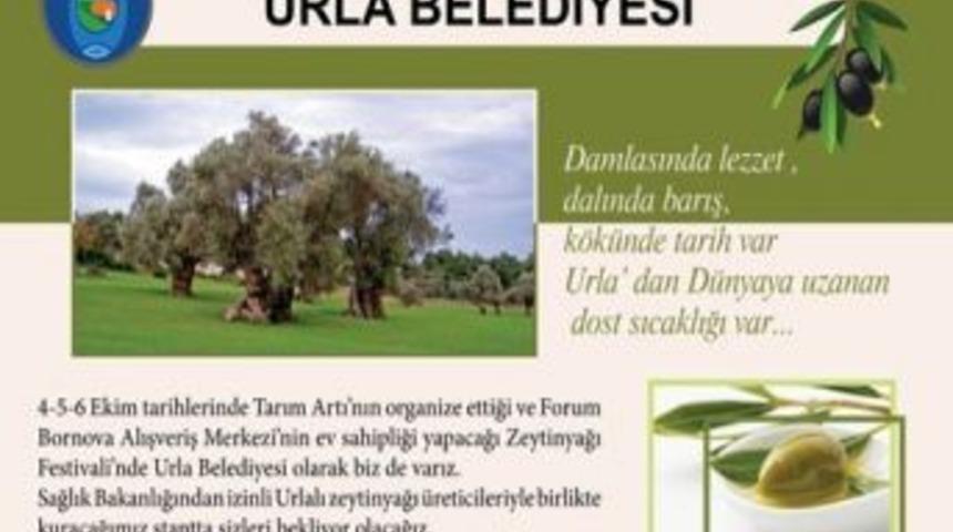 Bornava Forum&rsquo;da Zeytinyağı Festivali Başladı