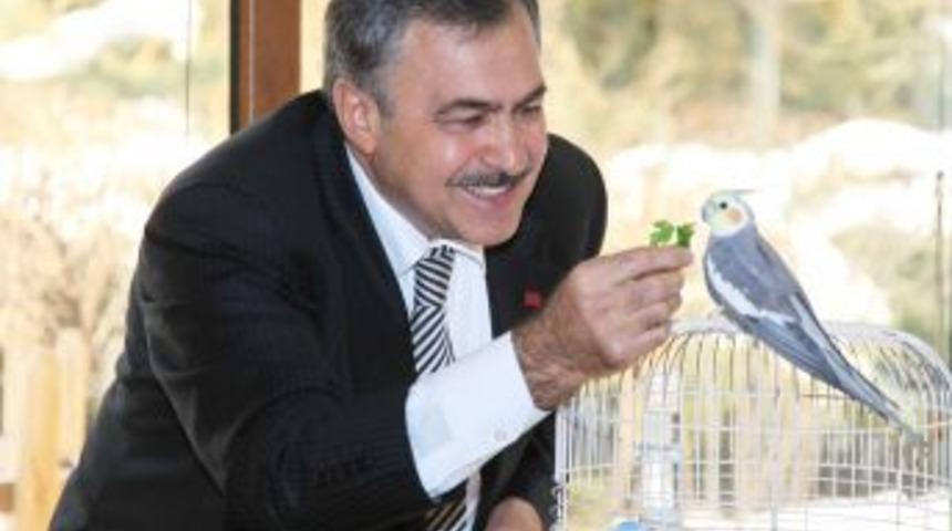 Bakan Eroğlu: Can Dostlarımızı El Birliği Ile Koruyalım