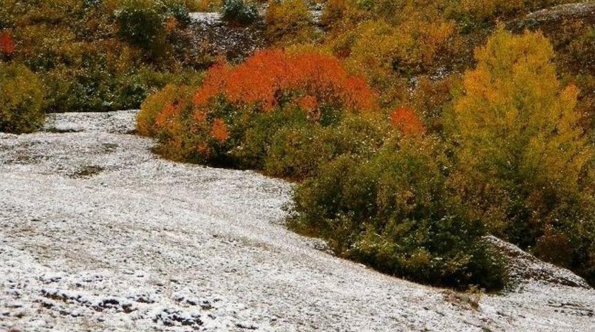 Kar Posof&rsquo;a Ayrı Bir G&uuml;zellik Kattı