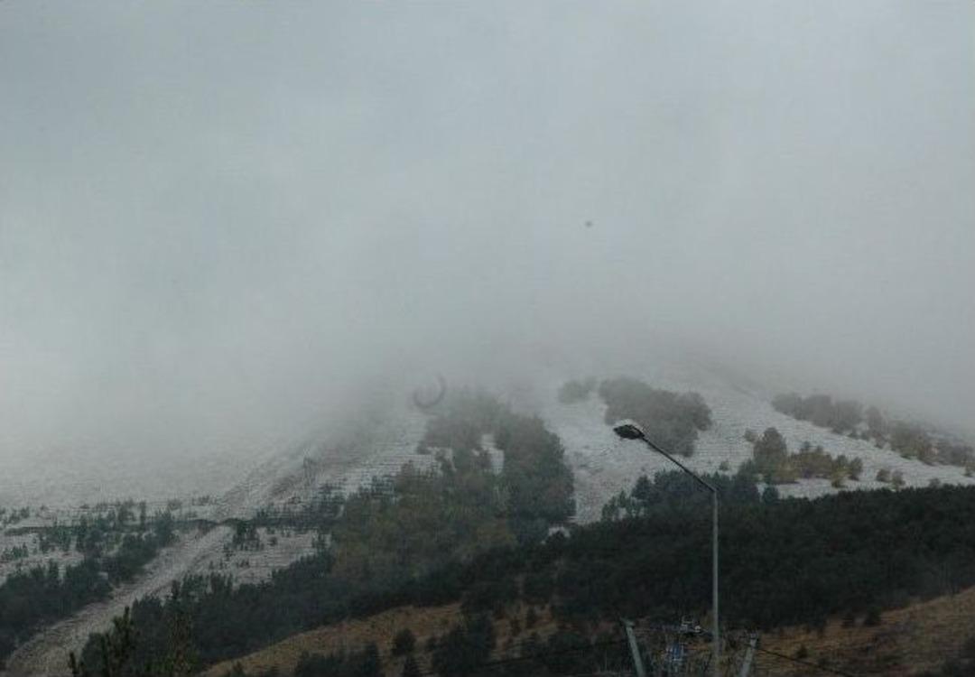 Paland&ouml;ken Beyaza B&uuml;r&uuml;nd&uuml;