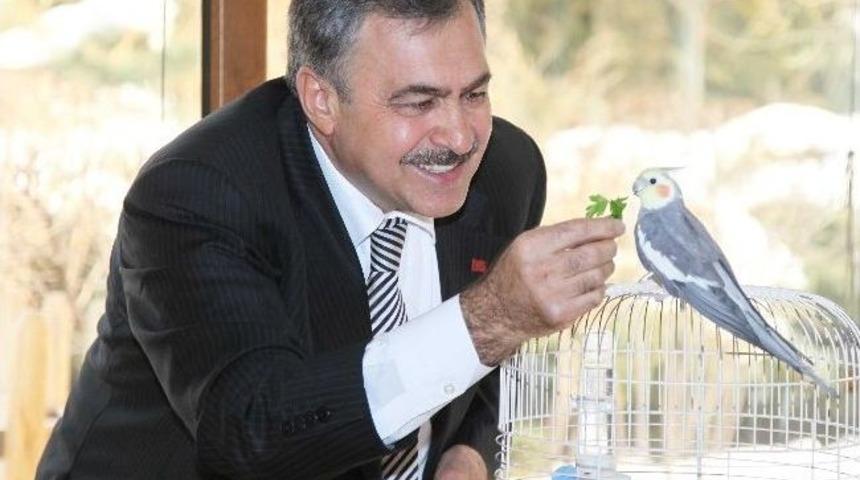 Bakan Eroğlu&rsquo;ndan Hayvanları Koruma G&uuml;n&uuml; Mesajı