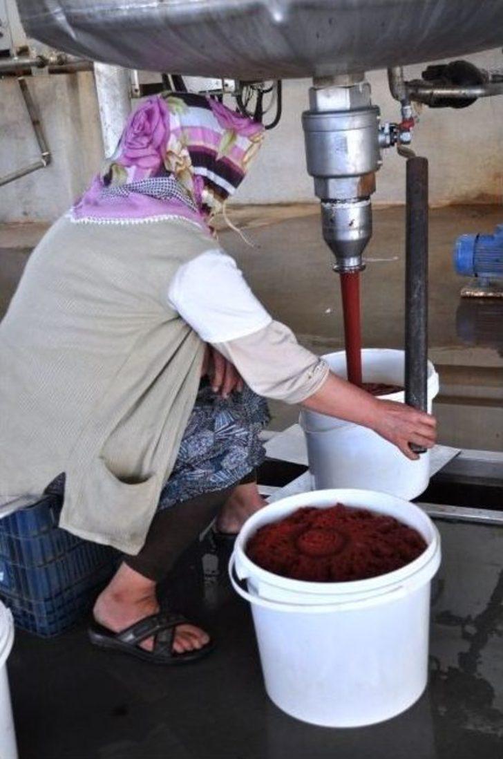 Bölgenin Salça İhtiyacını Bitlis Karşılıyor G3