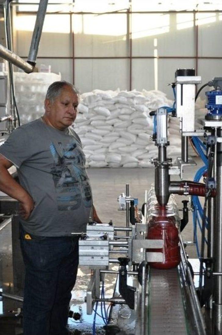 Bölgenin Salça İhtiyacını Bitlis Karşılıyor G5