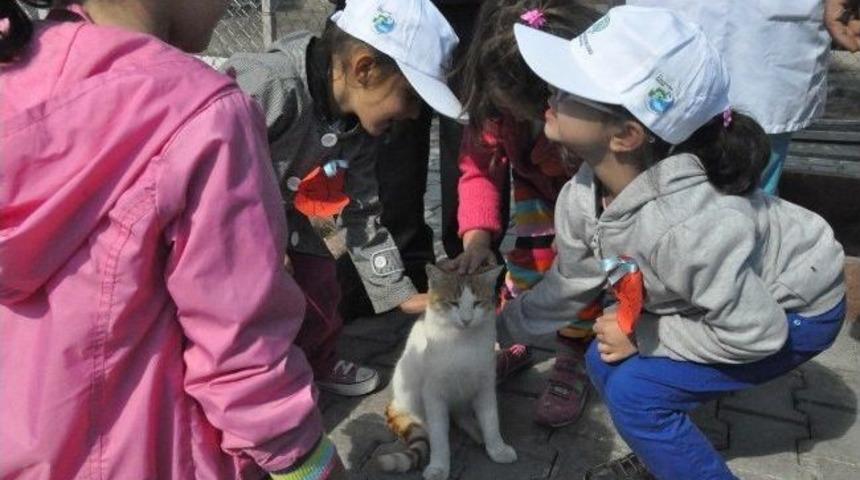 4 Ekim D&uuml;nya Hayvanları Koruma G&uuml;n&uuml;