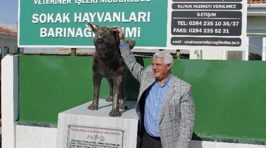 Edirne K&ouml;pek Barınağına Hachiko Heykeli