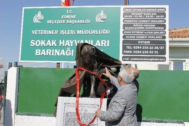 Edirne Köpek Barınağına Hachiko Heykeli