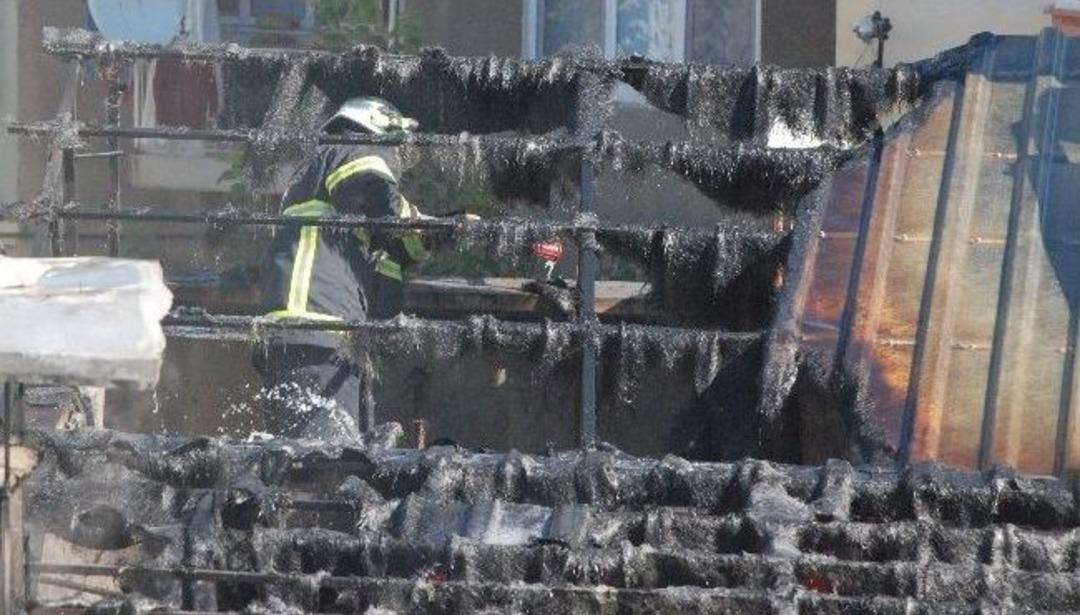 Tavşanlar Yanmaktan Son Anda Kurtarıldı