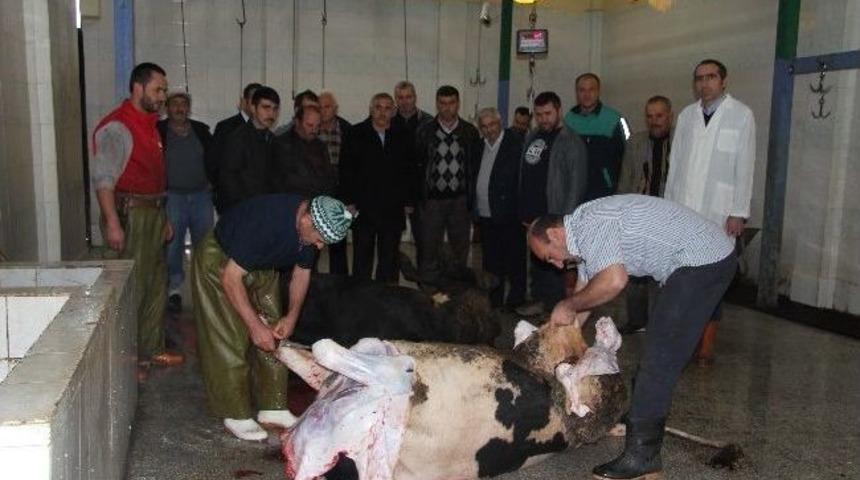 Hendek&rsquo;te Kurban Kesim Kursu Veriliyor