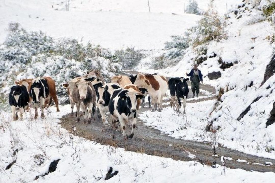 G&uuml;m&uuml;şhane&rsquo;de Yaylalar Kar Altında