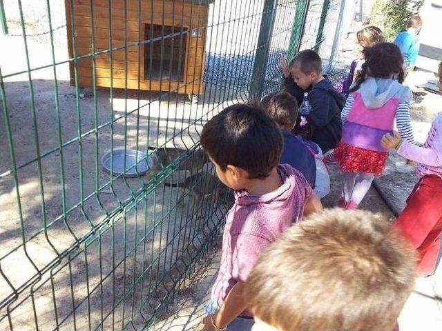 Didimli Miniklerden Hayvan Barınağına Ziyaret.. 1