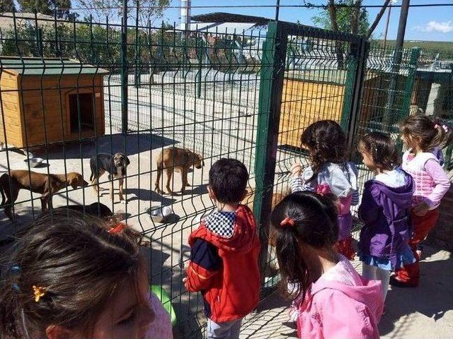 Didimli Miniklerden Hayvan Barınağına Ziyaret.. 2