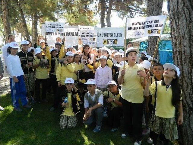 4 Ekim Hayvanları Koruma G&uuml;n&uuml; 2