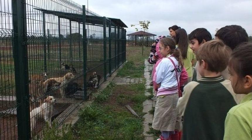 &Ouml;ğrenciler Gezerek &Ouml;ğreniyor