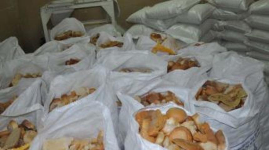 Menşei Belli Olmayan Gıda &Uuml;r&uuml;nleri Imha Edildi