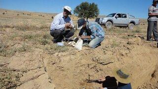 Afyonkarahisar’da ‘arazi Toplulaştırma Ve Tarla İçi Geliştirme Hizmetleri’