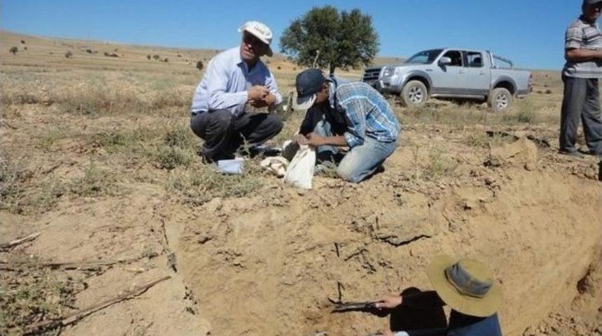 Afyonkarahisar’da ‘arazi Toplulaştırma Ve Tarla İçi Geliştirme Hizmetleri’