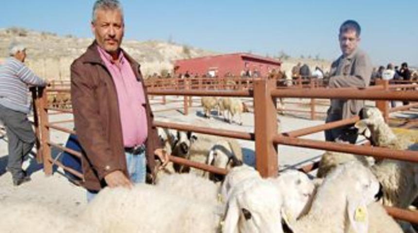 Nevşehir&rsquo;de Kurban Kesim Yerleri Belirlendi